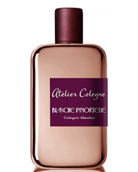 Blanche Immortelle