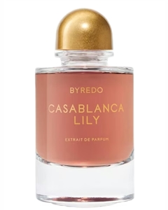 Casablanca Lily 2025