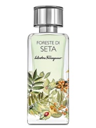 Foreste di Seta